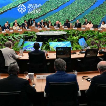 Fundo de florestas terá conta em Luxemburgo e mira US$ 10 bilhões até fim do ano