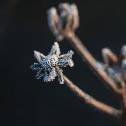 O inverno da alma revela lições sobre fé, silêncio e recomeços