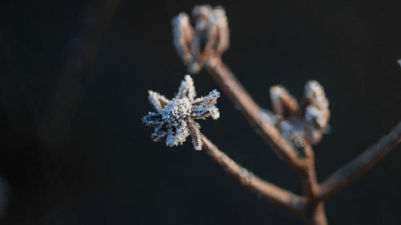 O inverno da alma revela lições sobre fé, silêncio e recomeços
