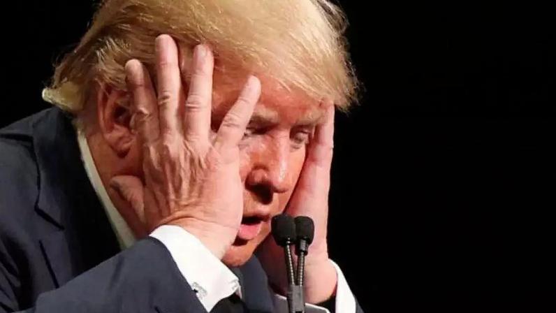 Tarifas de Trump contra o Brasil acendem alerta para setores exportadores mais expostos aos Estados Unidos.