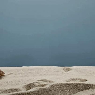 Levar areia da praia pode ser crime: entenda as leis ambientais