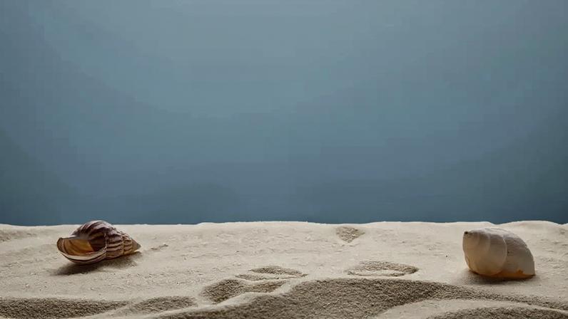 A areia faz parte de um ecossistema costeiro delicado: sua retirada pode contribuir para erosão, afetar organismos e reduzir a proteção natural da orla – depositphotos.com / AntonMatyukha