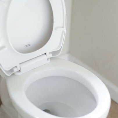 Guia alerta sobre métodos caseiros de limpeza sem tocar o vaso sanitário
