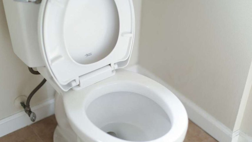 Truque simples que deixa o vaso limpinho e perfumado — e o melhor: sem precisar encostar ou usar produtos químicos fortes.