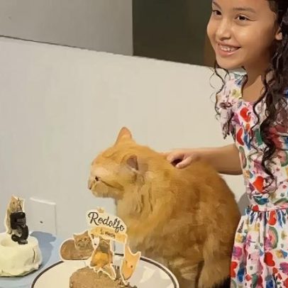 Gato ganha festa de aniversário e comportamento indiferente vira sucesso na web