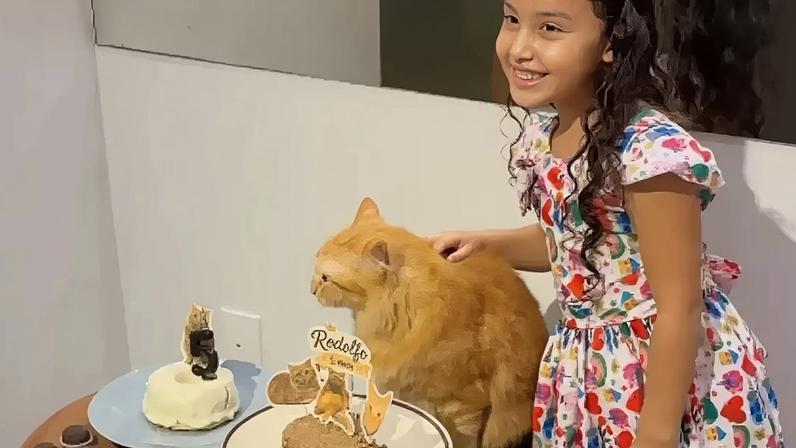 A cena do gato Rodolfo, em Fortaleza (CE), que ganhou uma festa de aniversário com direito a bolo de ração, ilustra um movimento que vem ganhando força nos últimos anos: a humanização dos pets – Reprodução/Instagram