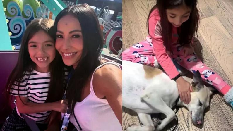 Zoe, filha de Sabrina Sato, emociona ao conversar com o cachorro sobre a chegada do novo bebê da família; saiba mais