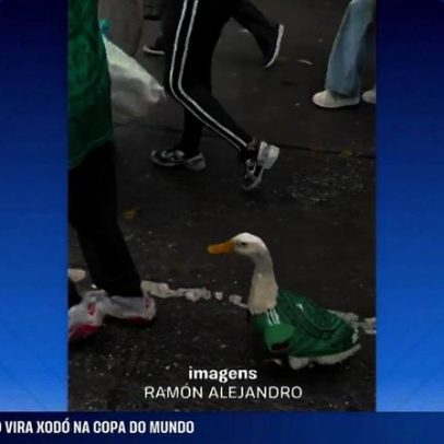 Homem tenta roubar marca do pato mexicano, sensação Copa; governo ajuda família