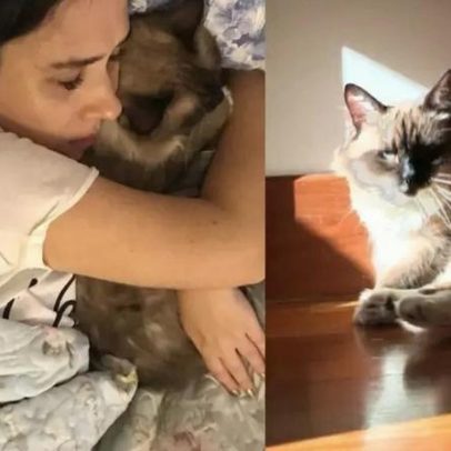 Tata Werneck lamenta a morte do gato Chico e abre o coração