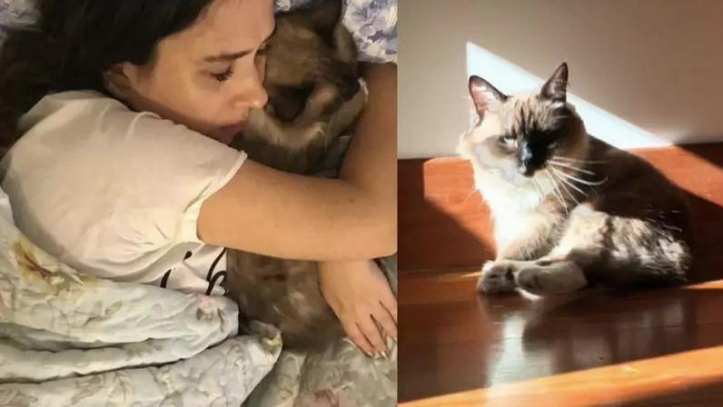 Tata Werneck emociona ao anunciar a morte do gato Chico e relembra a história de superação e os nove anos que viveram juntos