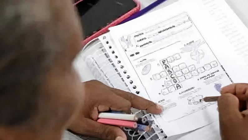 IBGE: Nordeste tem mais da metade dos 8,4 milhões de analfabetos do Brasil