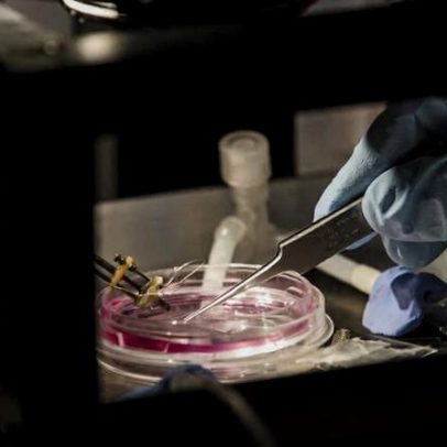 Novo modelo da UFRJ para importação reduz risco de insumos em universidades