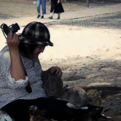 Okunoshima: ilha tomada por coelhos vira fenômeno turístico com passado sombrio