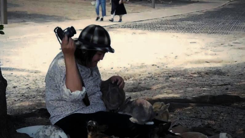 Okunoshima: ilha tomada por coelhos vira fenômeno turístico com passado sombrio