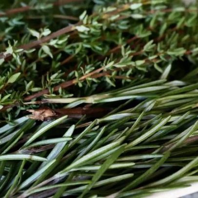 Alecrim pode reduzir estresse; veja como incluir na sua alimentação semanal