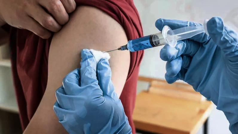 Vacina da dengue é perigosa? / Canva