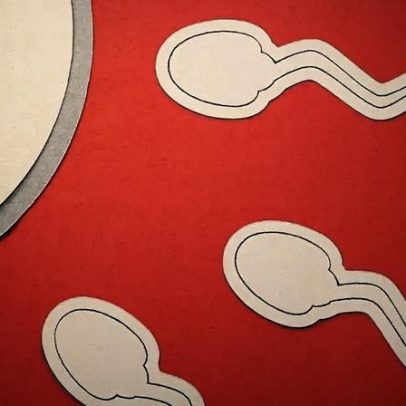 Infertilidade masculina recebe menos atenção que a feminina, aponta estudo