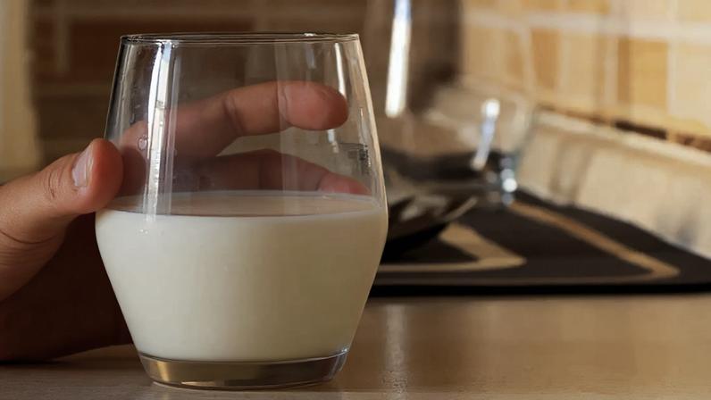 Leite cru, pasteurizado ou longa vida? Entenda diferenças e escolha certa