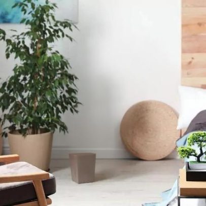 Plantas que melhoram sono e saúde com evidências