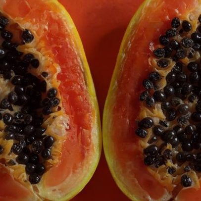 Como cultivar mamões com técnicas eficientes para colher frutos