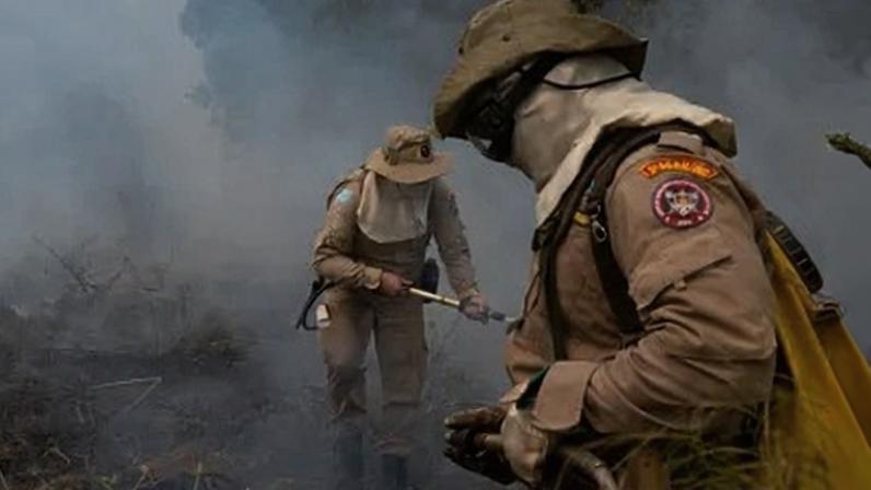 Bombeiros trabalham para conter as chamas de incêndio florestal no Pantanal