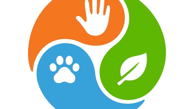O conceito de Saúde Única (One Health) é uma abordagem que entende humanos, animais e ecossistemas como partes de um mesmo sistema – depositphotos.com / Sudowoodo