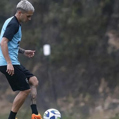 Diego Hernández deve deixar o Botafogo após ficar fora dos planos
