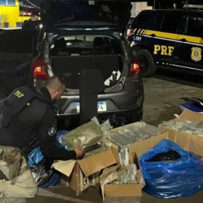 Homem é preso com cerca de 40 kg de skunk em Porto Alegre