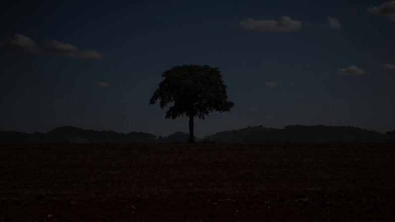 Fotografia de uma árvore solitária ergue-se no meio de uma terra arada e seca na Amazônia brasileira, com solo vermelho e colinas distantes sob um céu claro.