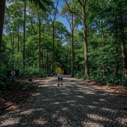 Parque Trianon recebe restaurante a partir de agosto