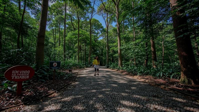 Parque Trianon, na Avenida Paulista