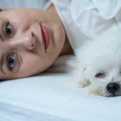 Cachorro pode dormir na cama com o dono e o que especialistas dizem