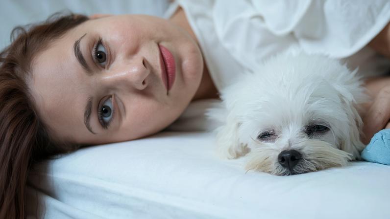 Cachorro pode dormir na cama com o dono e o que especialistas dizem