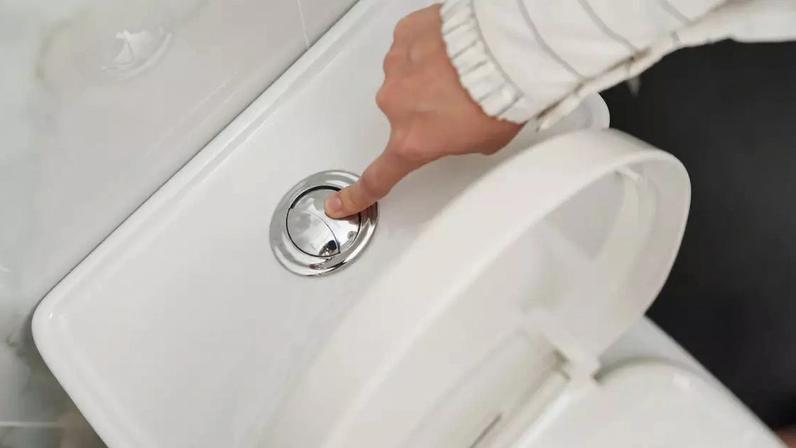 Confira quantas vezes você deve ir ao banheiro