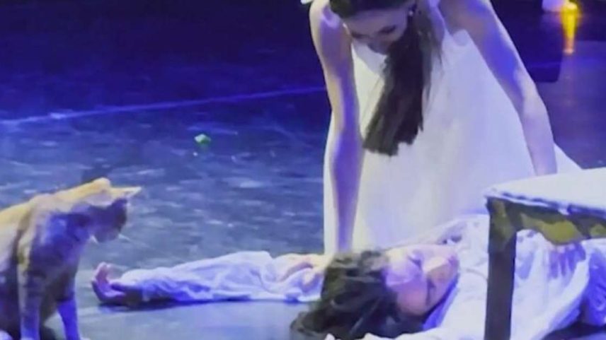Gato invade palco durante apresentação de balé e rouba a cena