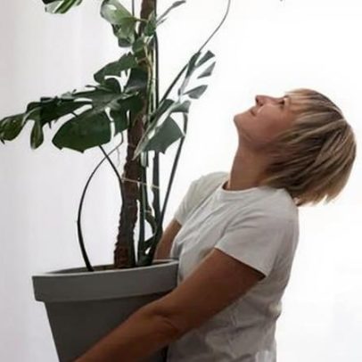 Falar com plantas favorece o crescimento? Revisão de evidências
