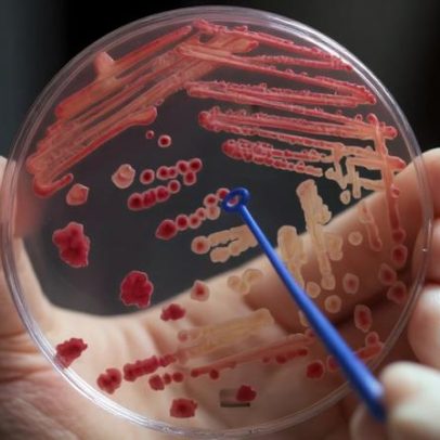 Oceanos carregam genes de resistência a antibióticos, aponta estudo