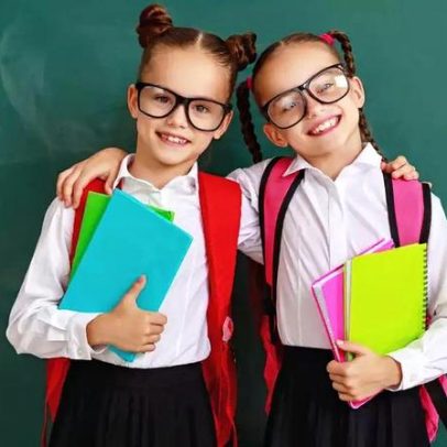 Gêmeos sugerem genética influencia sucesso profissional além do prestígio escolar