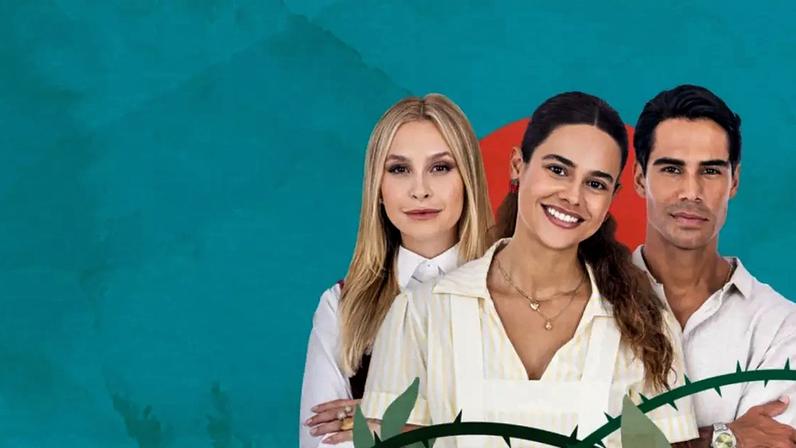 Divulgação Globo