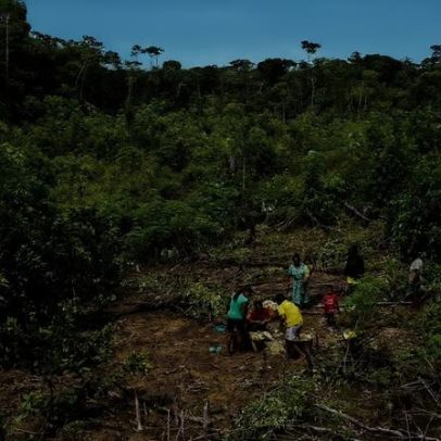 Fazendas na Amazônia desafiam práticas da agricultura moderna