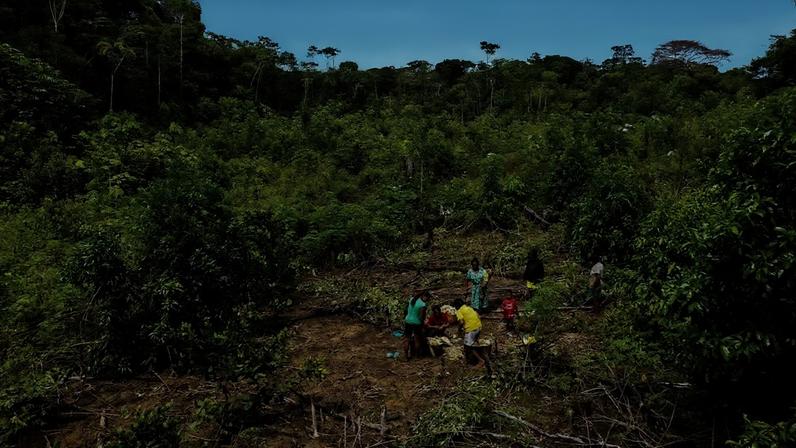 Na área da floresta tropical de Kelly Johanna Yucunatudo, tudo, desde a escolha do local até a localização de cada planta, tem uma ordem e um propósito