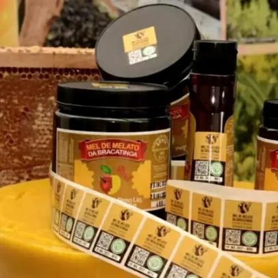 Mel de bracatinga, o raro ouro negro brasileiro que conquista mercados globais