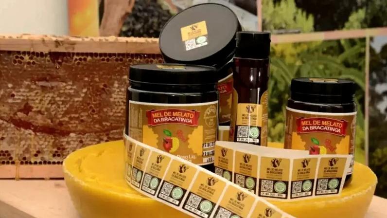 Mel de bracatinga, o raro ouro negro brasileiro que conquista mercados globais