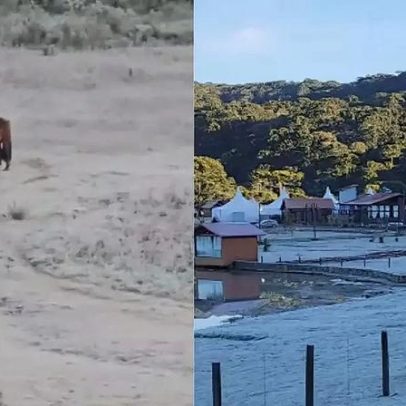 Cidade de SC registra -6,7°C, menor temperatura do ano; veja fotos