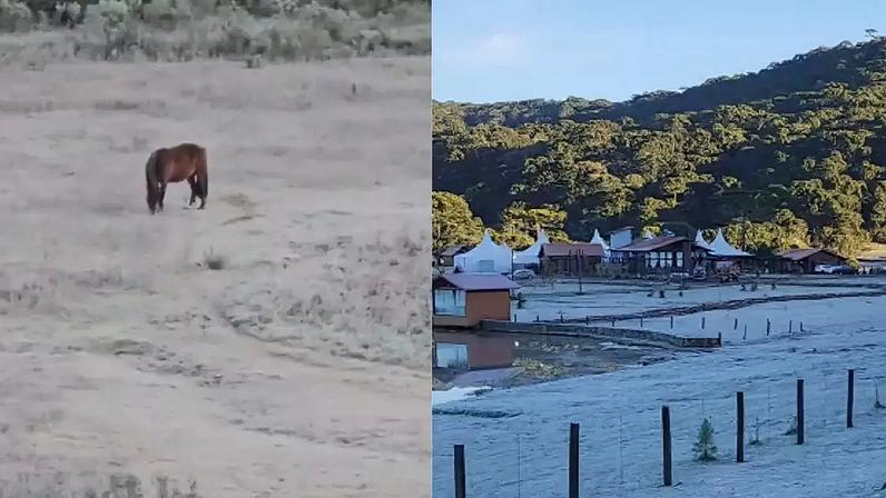 Frio e geada: cidade de SC registra menor temperatura do ano, com -6,7ºC