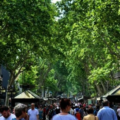 Estudo em Barcelona mostra como mudanças simples aliviam calor para pedestres