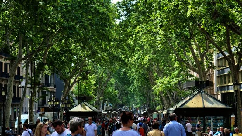 Estudo em Barcelona mostra como mudanças simples aliviam calor para pedestres