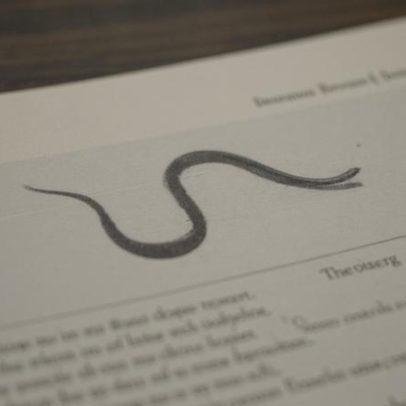 Pais encontram cobra no quarto do bebê na Bahia