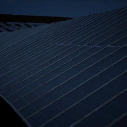 Gato solar provoca distúrbios na rede elétrica