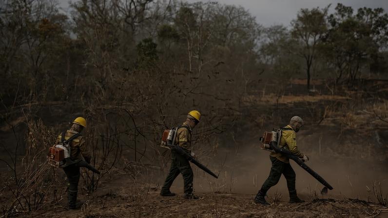 Brigadistas do Prevfogo combatem o incêndio em uma fazenda na região de Miranda, Mato Grosso do Sul, durante crise de queimadas no pantanal em 2024